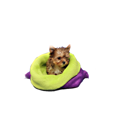 Marysa spací pytel 3v1