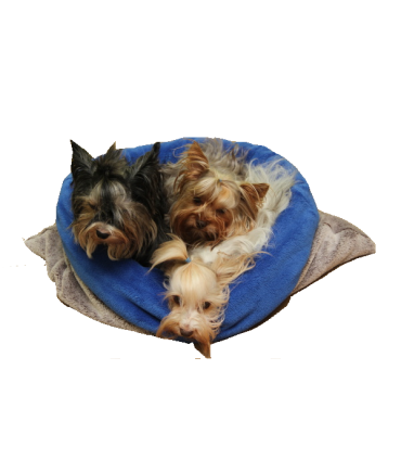 Marysa spací pytel 3v1