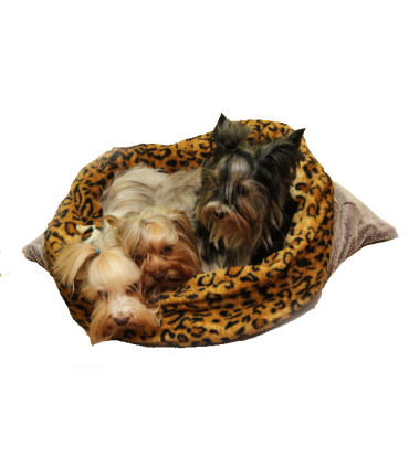 Marysa spací pytel 3v1